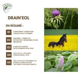 Drain'eol - Aliment complémentaire - Drainage cheval - 2