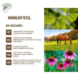 Immun'eol - Aliment complémentaire - Immunité cheval - 2