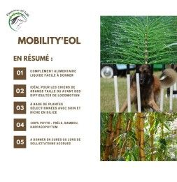D-Mobility'eol