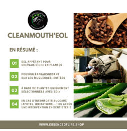 Cleanmouth'eol