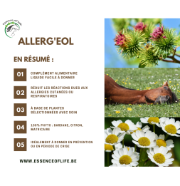 Allerg'eol - Aliment complémentaire - Allergies chez le cheval - 2