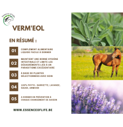 Verm'eol - Aliment Complémentaire - Vermifuge naturel - 2