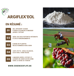 Argiflex'eol - Argile en gel pour chevaux - 2