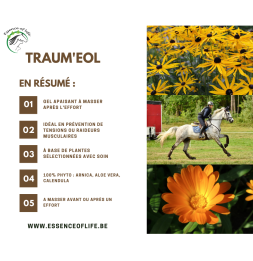 Traum'eol - Gel à l'arnica pour chevaux - 2